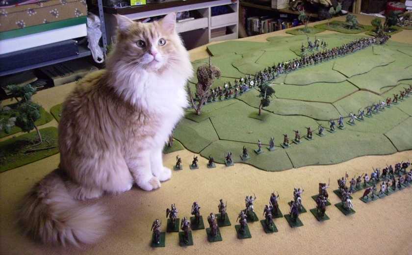 Oliver aka Buster circa 2006 to 2 August 2015